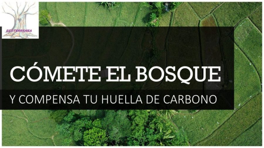 Comete el bosque - IP - Hispamer Noticias Hispamer Noticias
