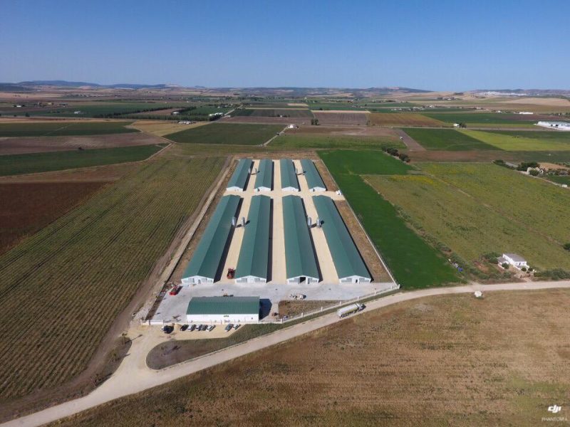 &nbsp;Hispamer Noticias