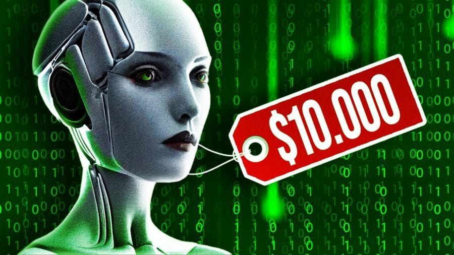 &nbsp;Hispamer Noticias