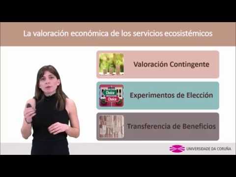 &nbsp;Hispamer Noticias