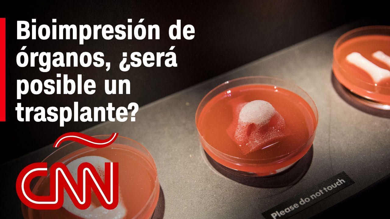 &nbsp;Hispamer Noticias