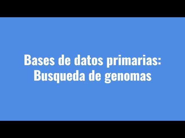 &nbsp;Hispamer Noticias