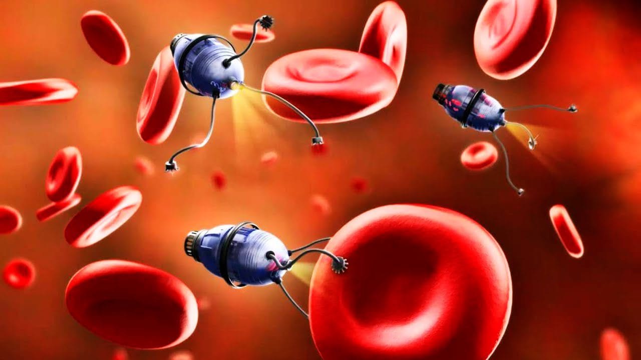 &nbsp;Hispamer Noticias