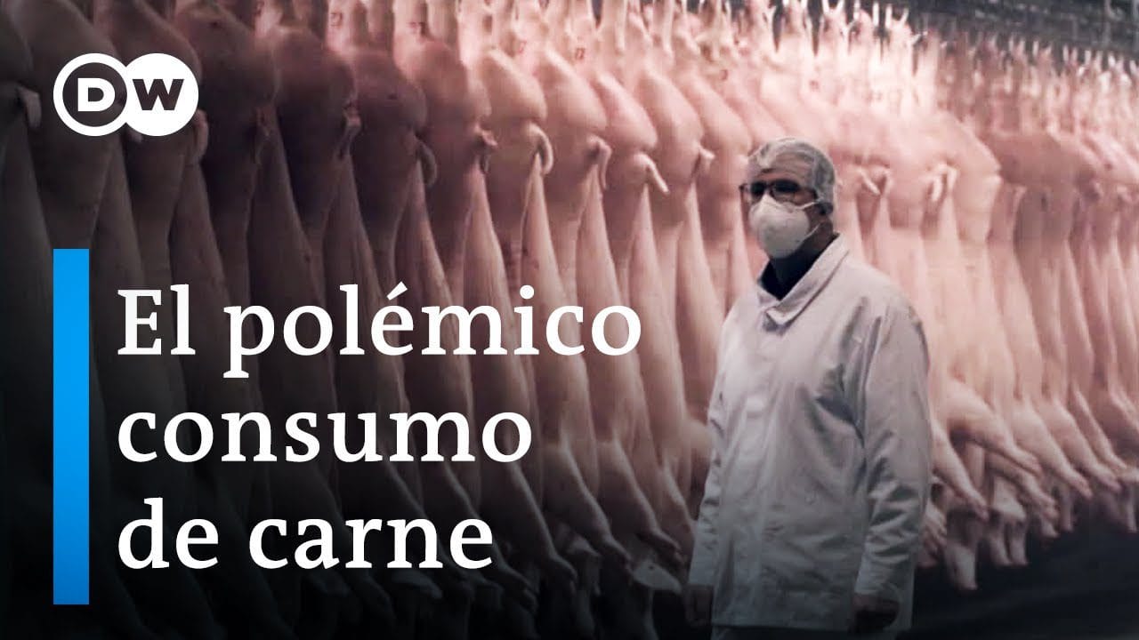 &nbsp;Hispamer Noticias