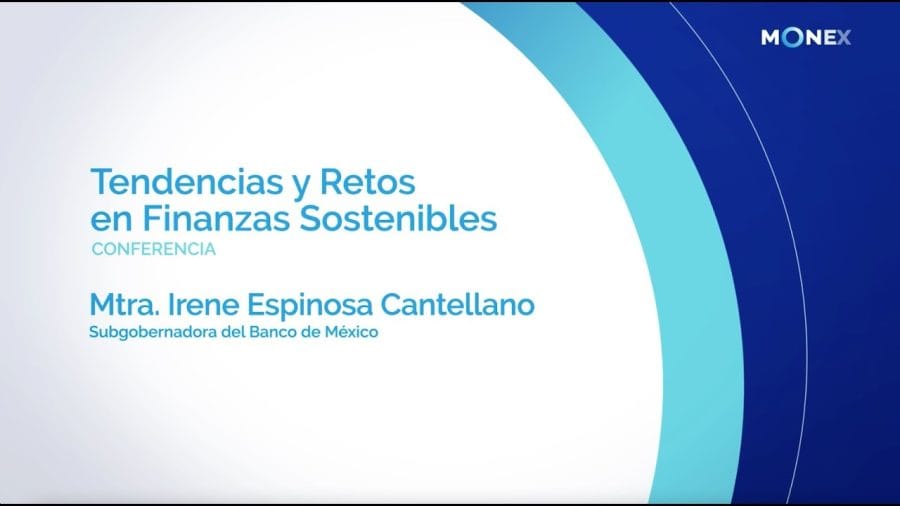 &nbsp;Hispamer Noticias