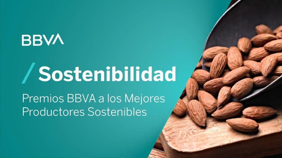 &nbsp;Hispamer Noticias