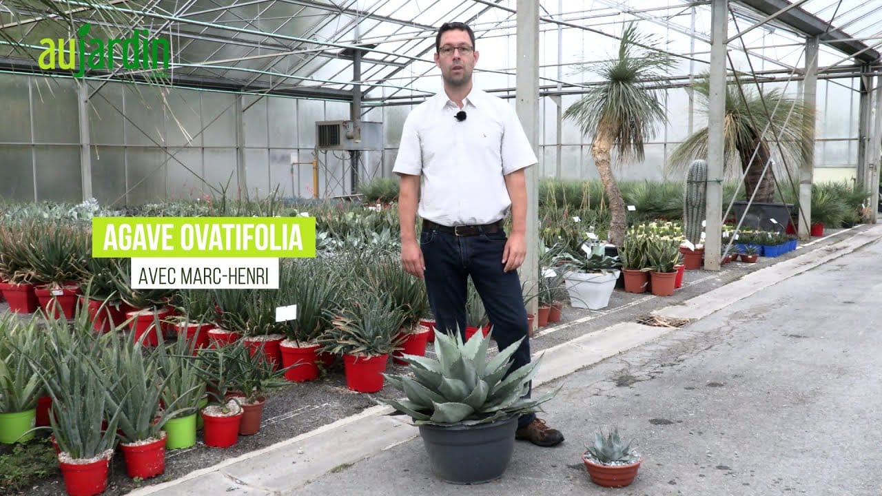 &nbsp;Hispamer Noticias