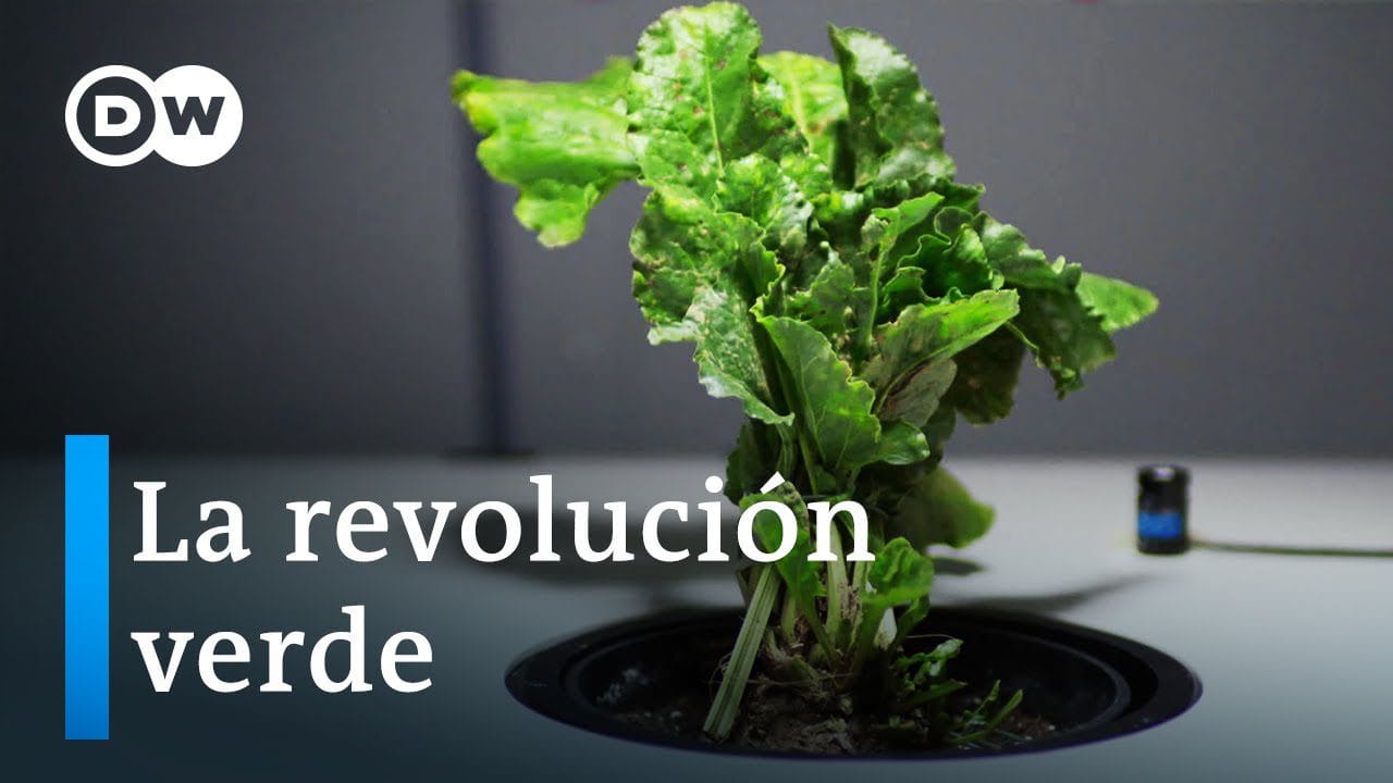 Economia-de-la-Biotecnologia-Alimentaria-Innovaciones-y-Controversias - Hispamer Noticias Hispamer Noticias