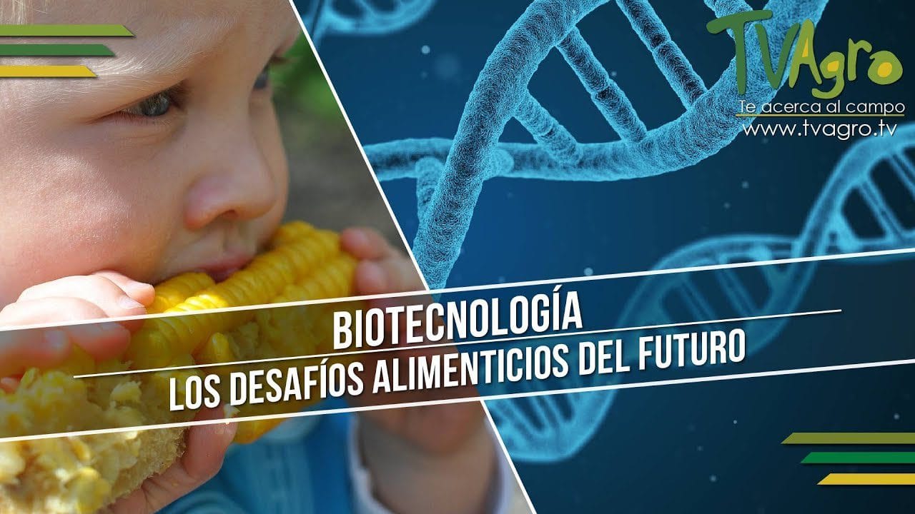 &nbsp;Hispamer Noticias