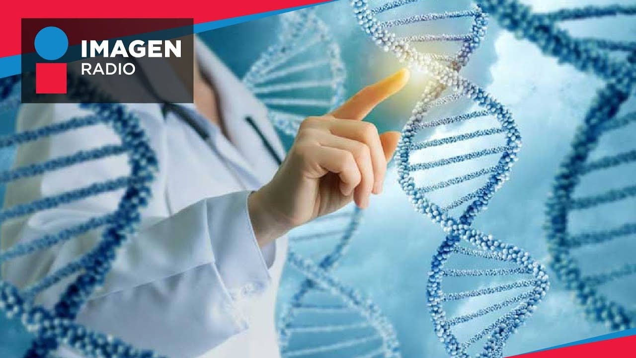 &nbsp;Hispamer Noticias