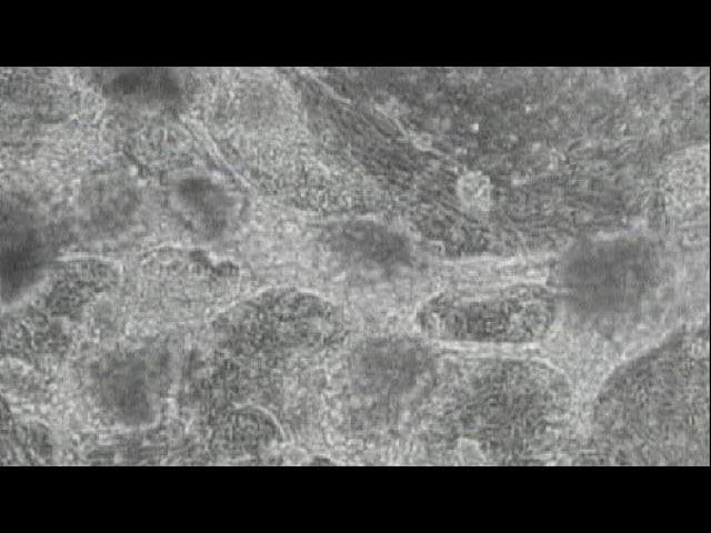 &nbsp;Hispamer Noticias