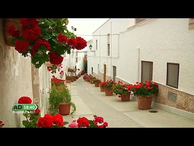 &nbsp;Hispamer Noticias