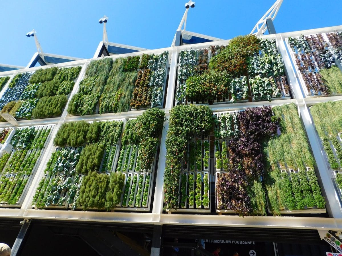 ecoarquitectura - IP - Hispamer Noticias Hispamer Noticias