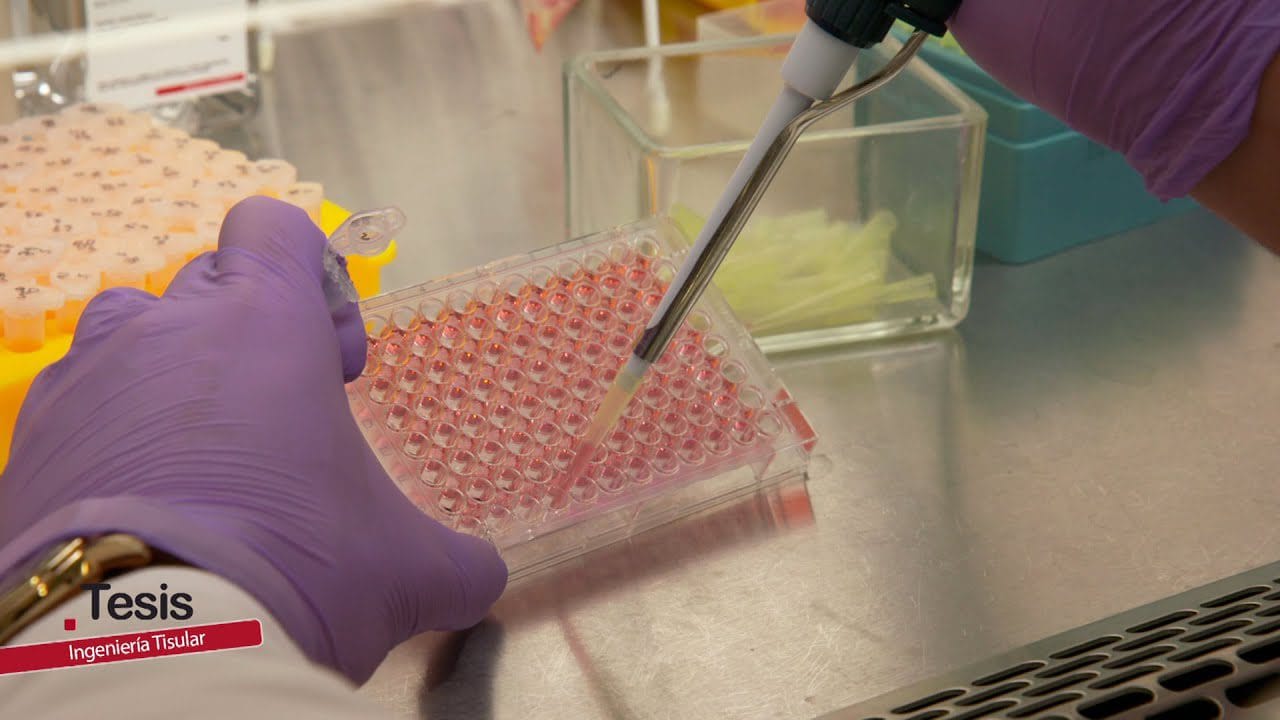 &nbsp;Hispamer Noticias