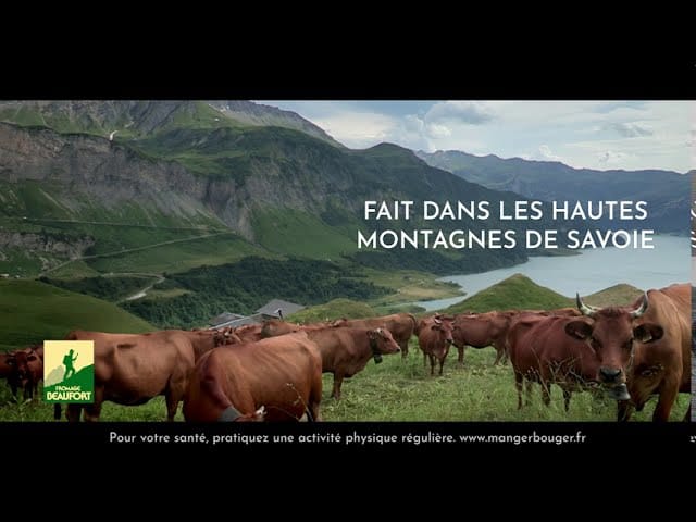 &nbsp;Hispamer Noticias