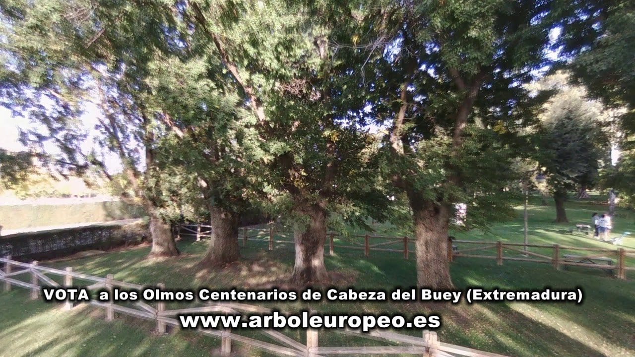 Oficinas-bancarias-en-Cabeza-del-Buey - Hispamer Noticias  Hispamer Noticias