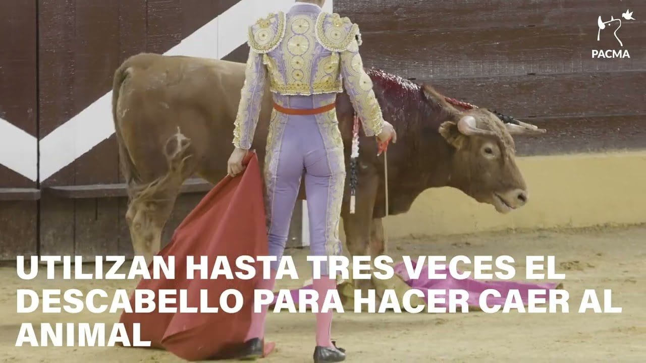 &nbsp;Hispamer Noticias