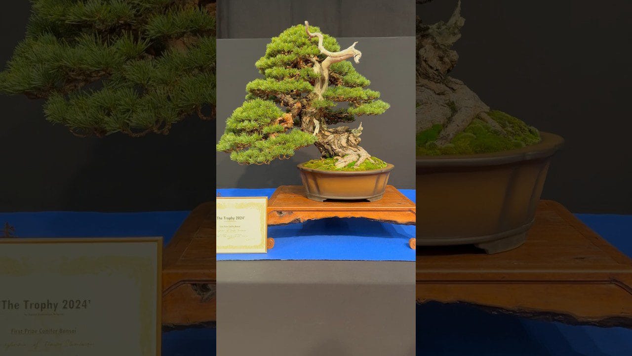 &nbsp;Hispamer Noticias