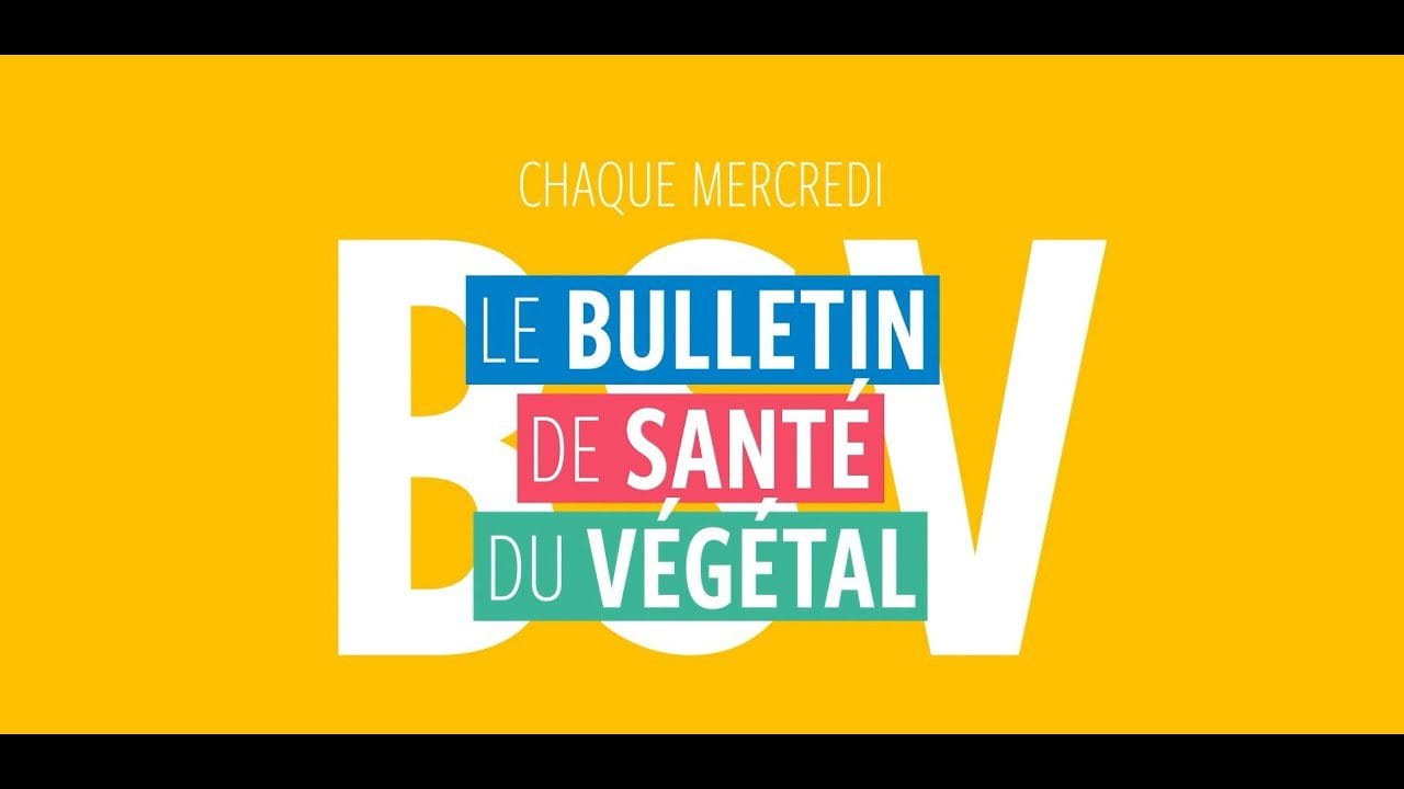 &nbsp;Hispamer Noticias