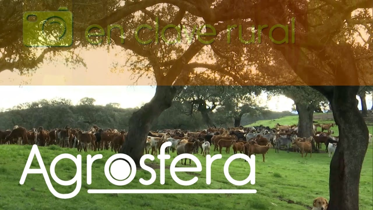 &nbsp;Hispamer Noticias