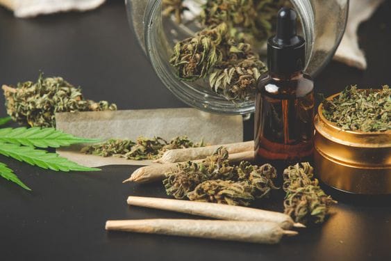 La innovación en el cultivo de marihuana medicinal: insumos, herramientas y tecnología&nbsp;Hispamer Noticias