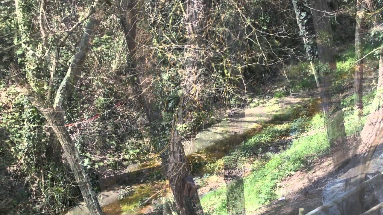 Oficinas-bancarias-en-Sant-Iscle-de-Vallalta - Hispamer Noticias Oficinas bancarias en Sant Iscle de Vallalta Hispamer Noticias