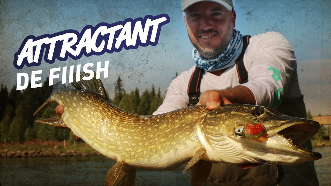 FUNDTICS FI/FUNDTICS/100&nbsp;Hispamer Noticias