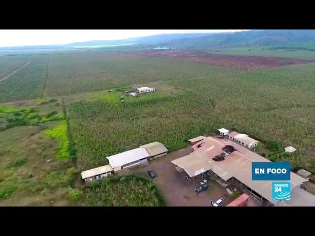 Situación económica en Camerún&nbsp;Hispamer Noticias