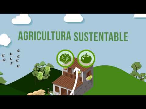 Modelos de negocio en el sector de la agricultura sostenible: ejemplos y estrategias&nbsp;Hispamer Noticias