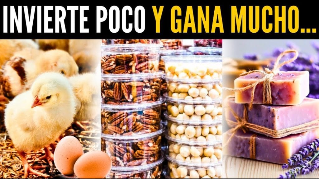 negocios de poca inversión y mucha ganancia