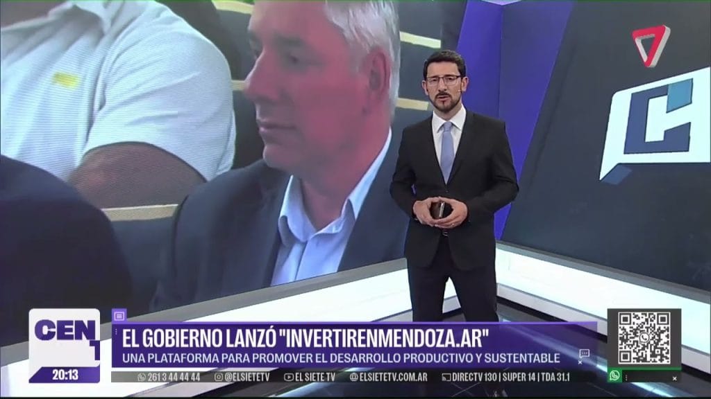 inversiones mendoza