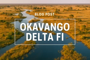 OKAVANGO DELTA FI&nbsp;Hispamer Noticias