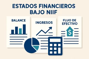 estados financieros bajo niif&nbsp;Hispamer Noticias