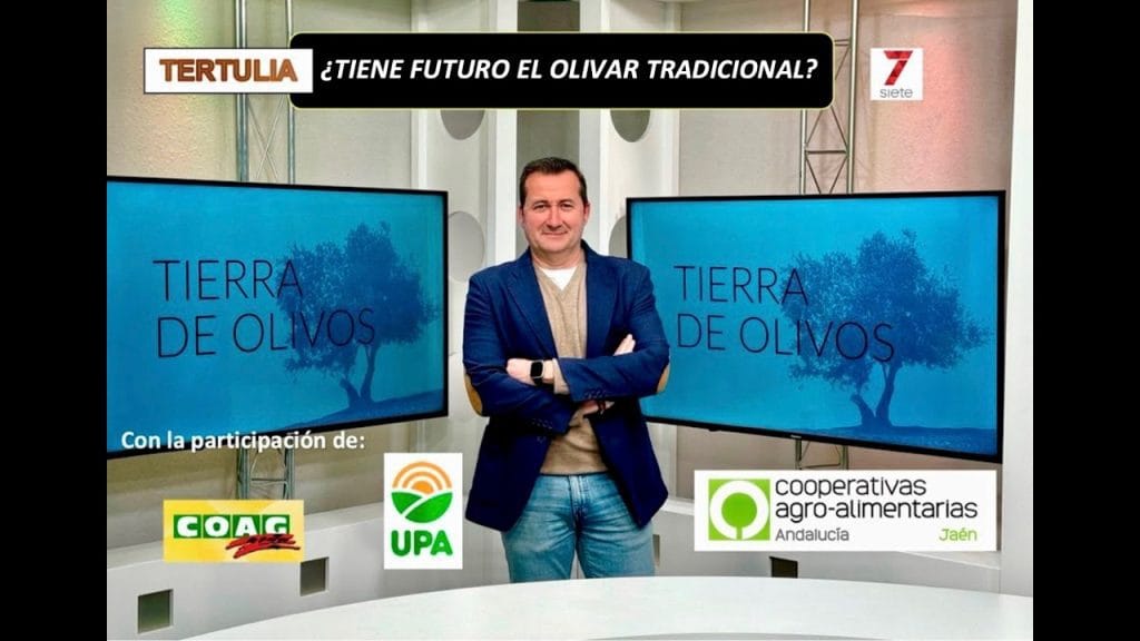 visión de futuro de Tomás Olivo según expertos&nbsp;Hispamer Noticias