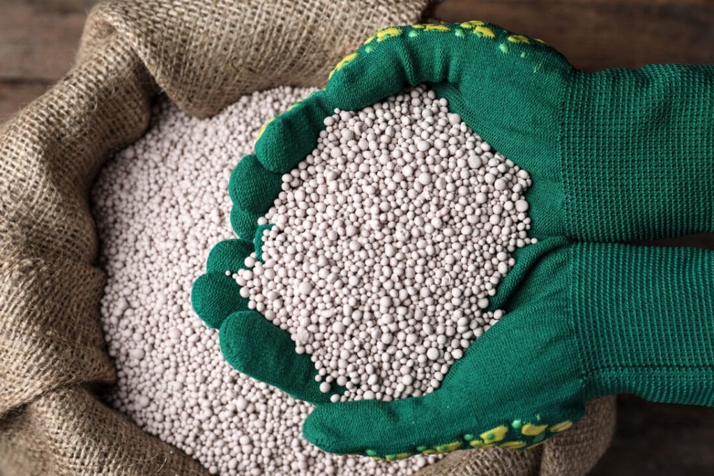 Green gloves hold a mound of small white fertilizer pellets over a burlap sack in a gardening setting.&nbsp;Hispamer Noticias
