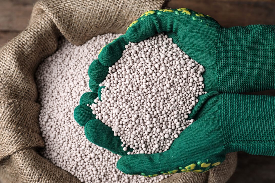 aranceles fertilizantes - Hispamer Noticias Green gloves hold a mound of small white fertilizer pellets over a burlap sack in a gardening setting. Hispamer Noticias