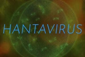 Blue text 'HANTAVIRUS' across a green circular virus illustration, like a title banner.&nbsp;Hispamer Noticias