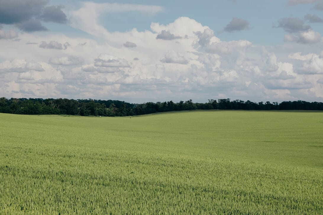 Green agricultural field with a distant tree line under a partly cloudy sky&nbsp;Hispamer Noticias