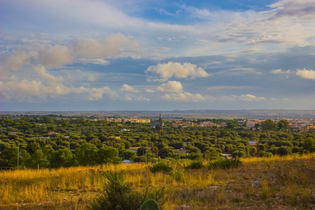 Wide view of a rural landscape: golden grasses in the foreground, green trees in the middle, and a town on the horizon under a blue, cloudy sky.&nbsp;Hispamer Noticias