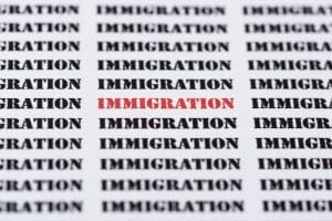 Repeated pattern of the word IMMIGRATION in bold black text, with the central word highlighted in red.&nbsp;Hispamer Noticias