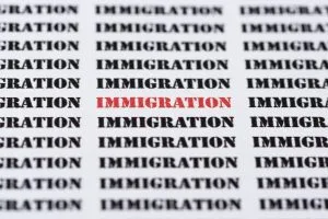 Repeated pattern of the word IMMIGRATION in bold black text, with the central word highlighted in red.&nbsp;Hispamer Noticias