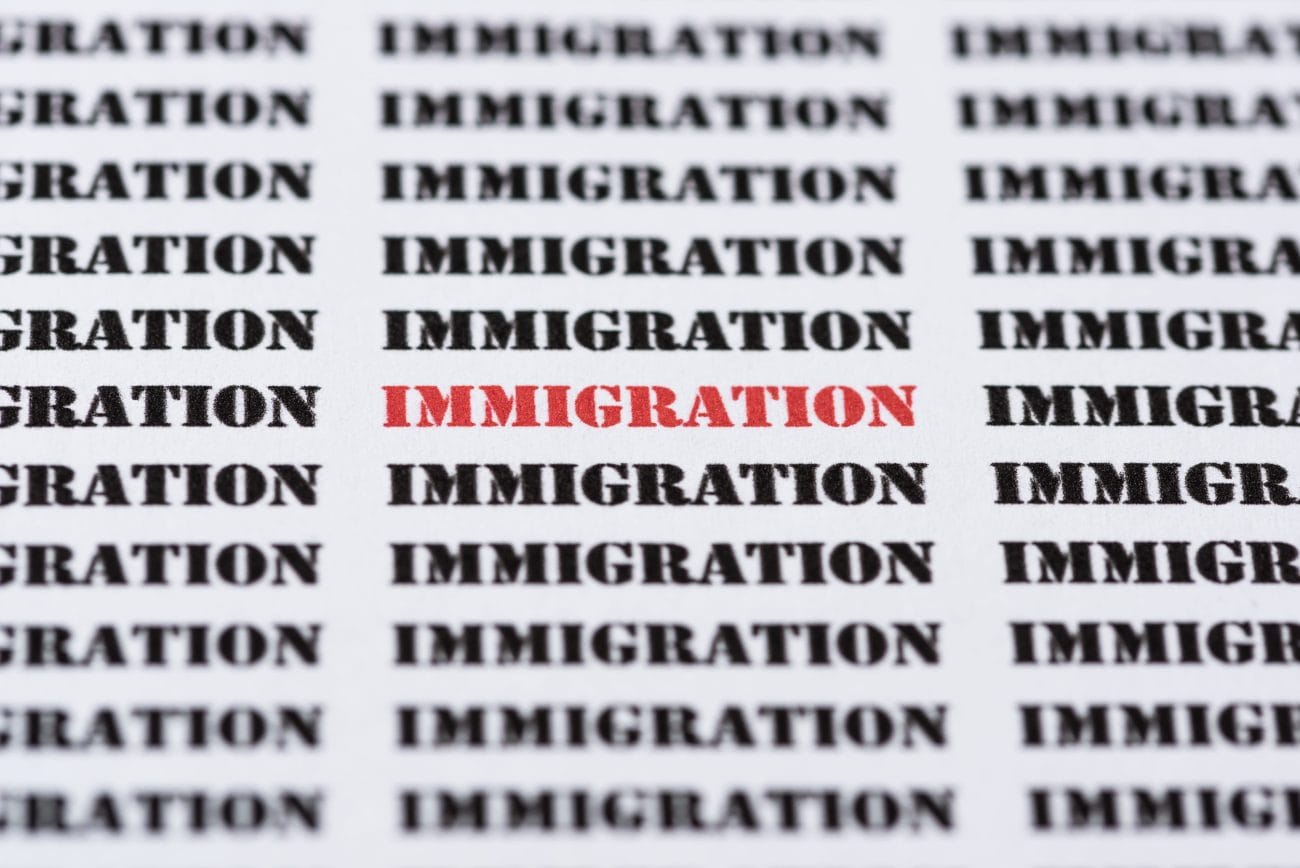 Repeated pattern of the word IMMIGRATION in bold black text, with the central word highlighted in red.&nbsp;Hispamer Noticias