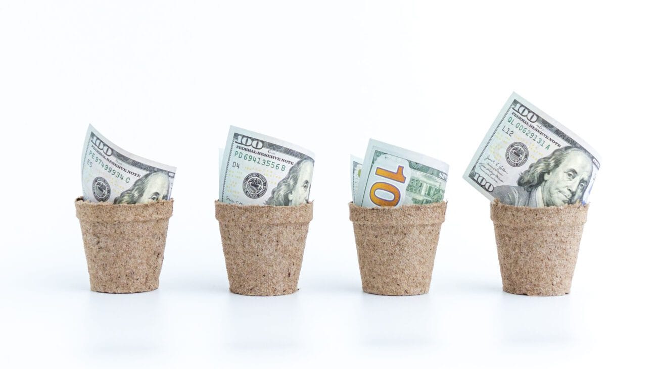Four small cork pots with folded US dollar bills sticking out, lined up in a row—symbolizing savings or money growth (informative).&nbsp;Hispamer Noticias